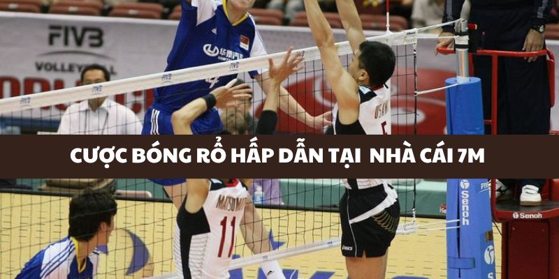 Cược bóng rổ hấp dẫn tại nhà cái 
